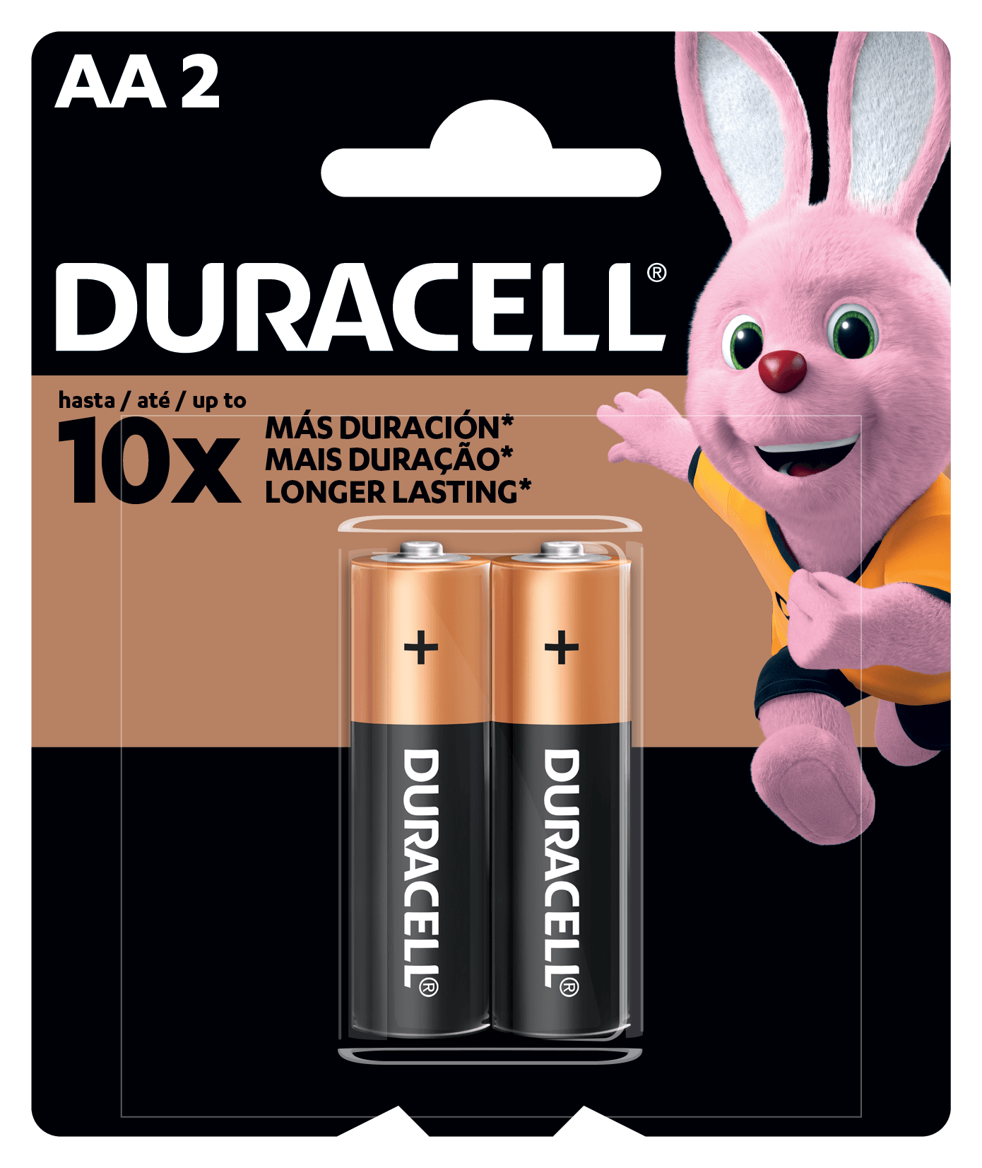 Pilha Alcalina Aa Duracell Com 2 Unidades